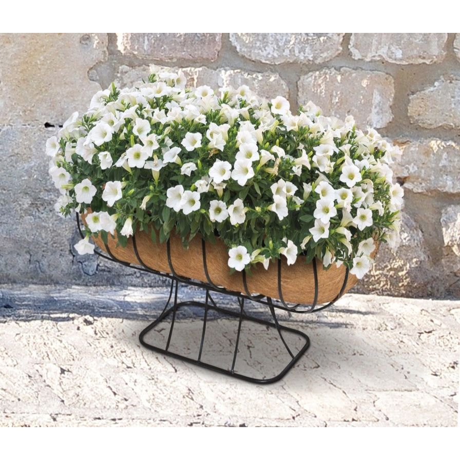 Ambassador Cradle Planter  With Coco Liner