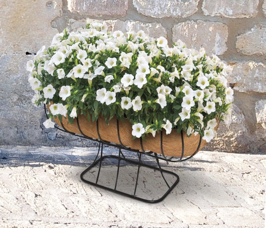 Ambassador Cradle Planter  With Coco Liner