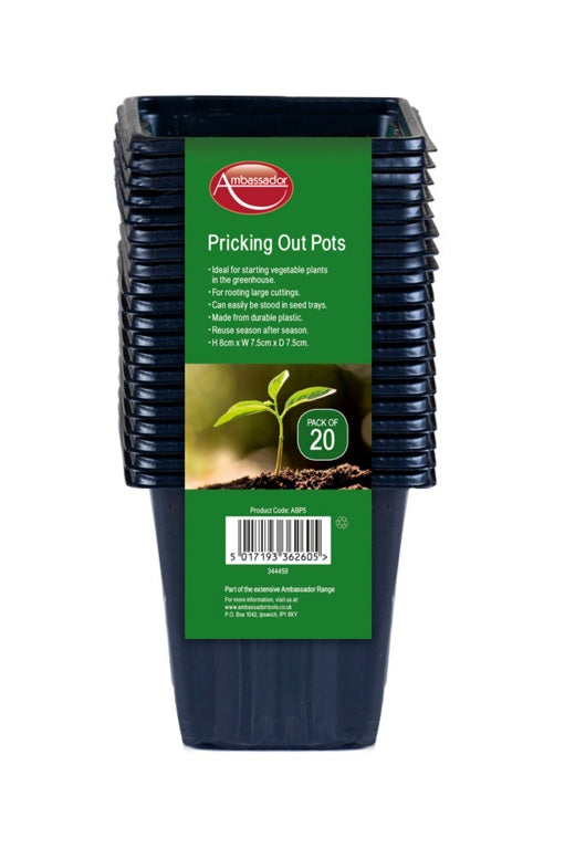 Ambassador Pricking Out Pots 8cm - Pack 20