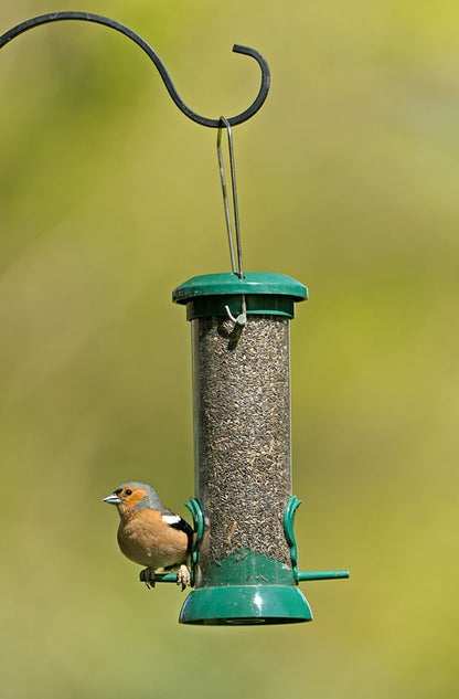 Rspb Petite mangeoire à graines Nyjer facile à nettoyer