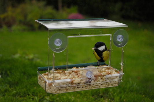 Alimentador de ventana Rspb