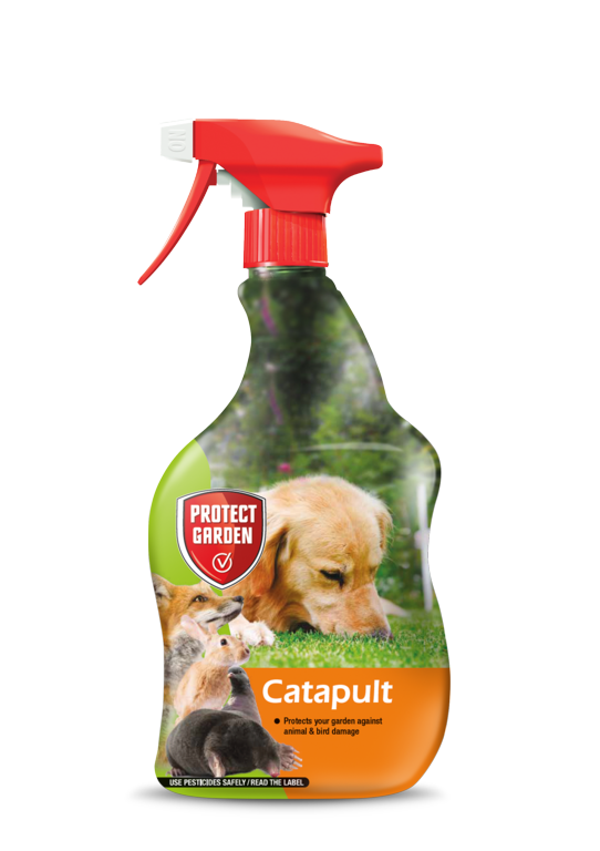 Protéger le chat-a-pulte de jardin