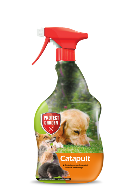 Protéger le chat-a-pulte de jardin