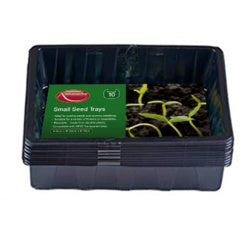 Ambassador Seed Tray Pack 5