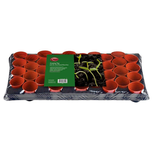 Ambassador Growing Tray