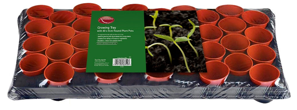 Ambassador Growing Tray