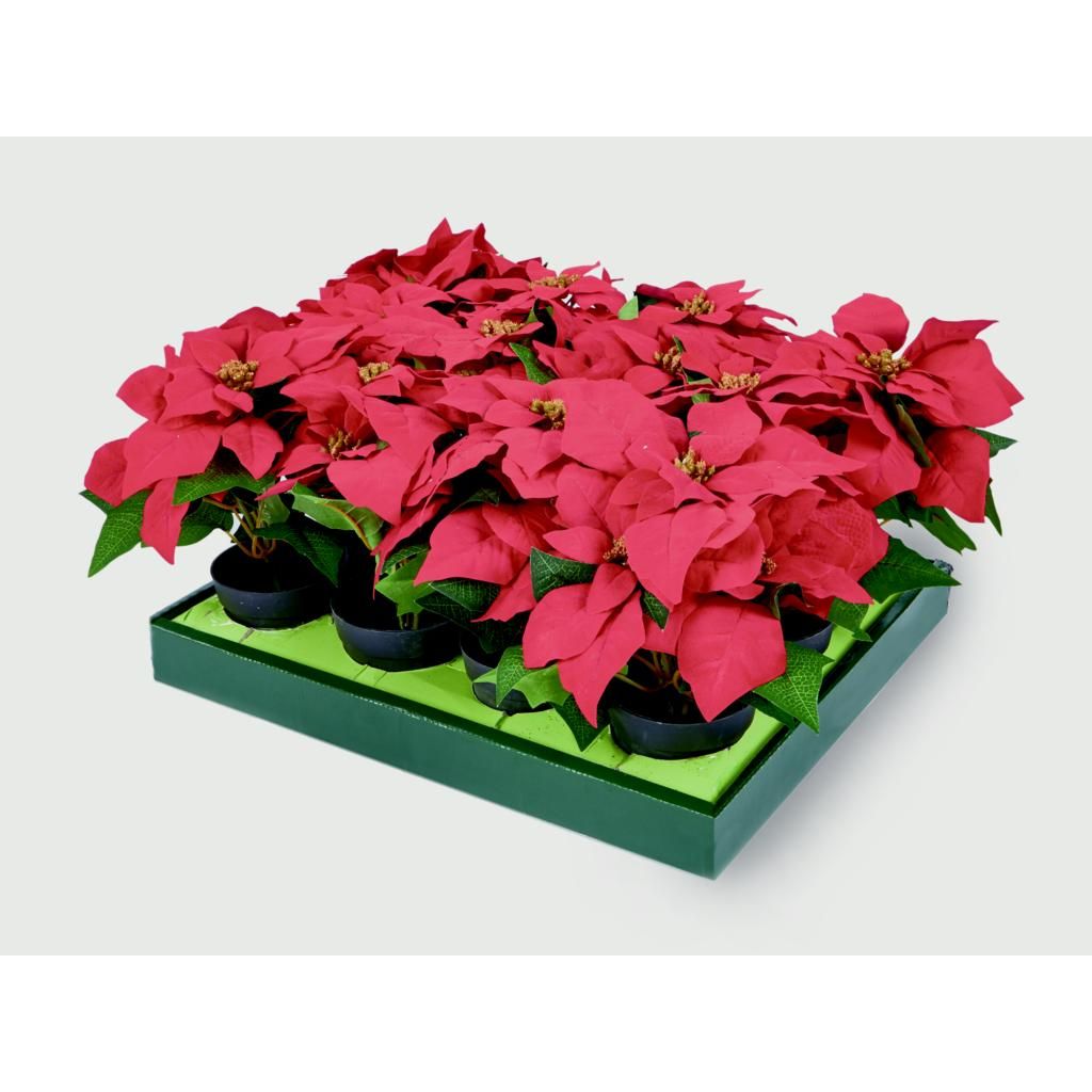 Premier Red Poinsettia In Vase