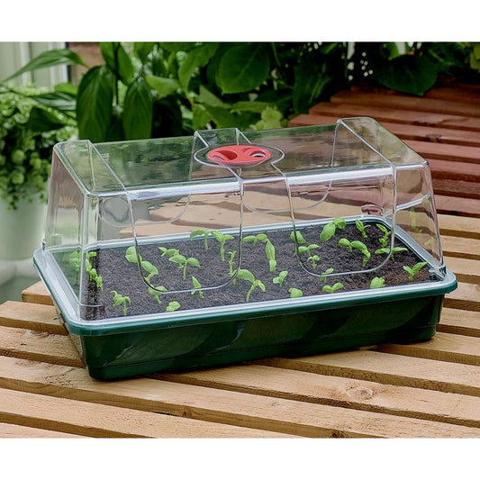 Garland High Dome Propagator