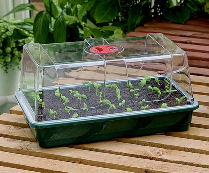 Garland High Dome Propagator