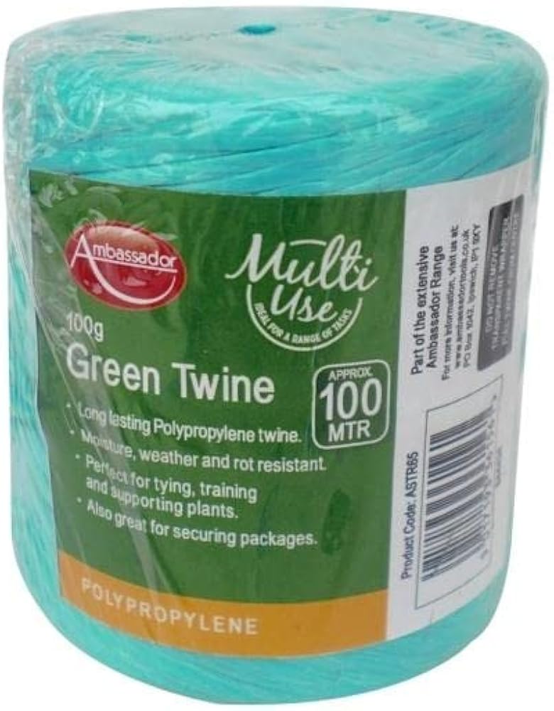 Ambassador Green Poly Twine Spool