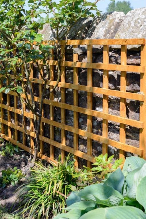 Grange Heavy Duty Square Trellis