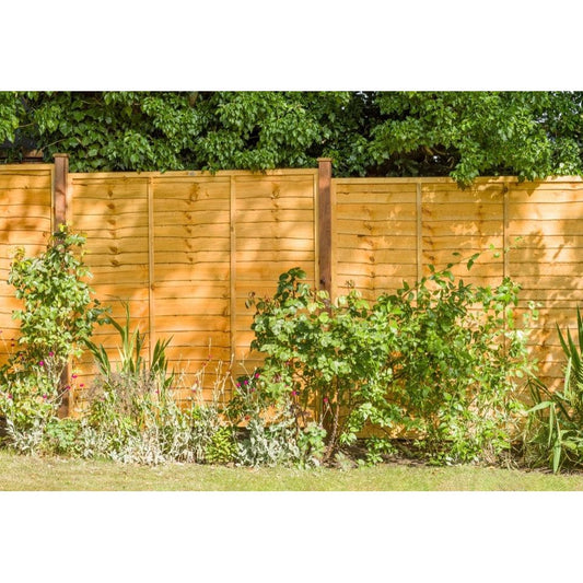 Grange Pressure Treated Fence Panel