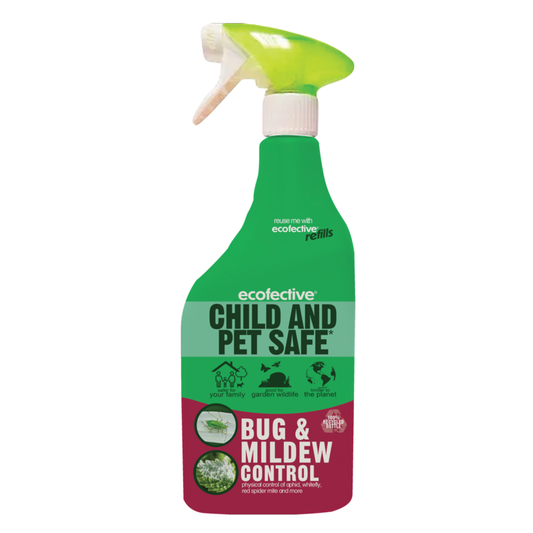 Control ecofectivo de insectos y moho