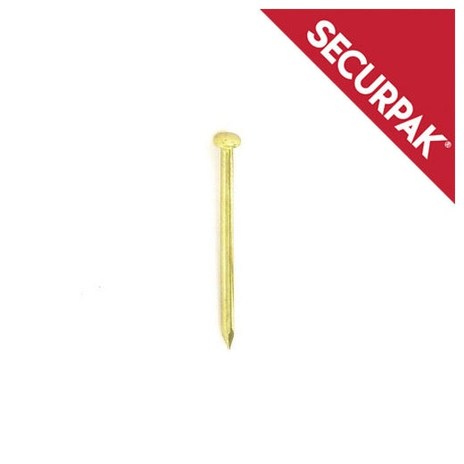 Securpak Hardened Picture Pins BP