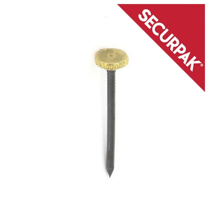 Securpak Brass Headed Picture Pins Pack 10