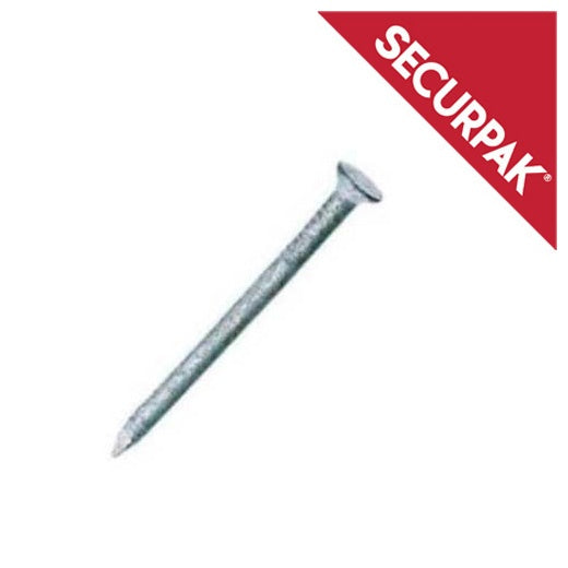 Securpak Round Wire Nails Galvanised 120g