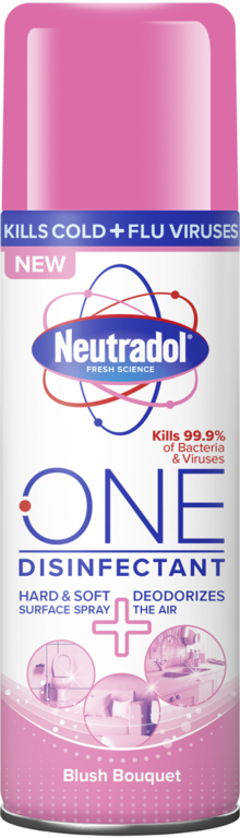 Neutradol One Désinfectant Spray 300 ml