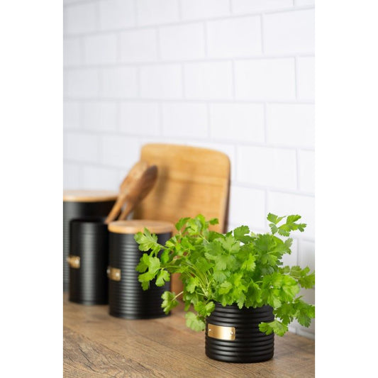 Typhoon Otto Herb Planter