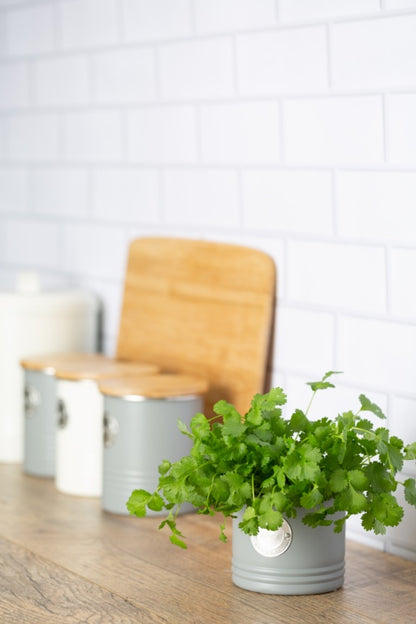 Typhoon Living Herb Planter