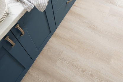 Palio Rigid Palmaria