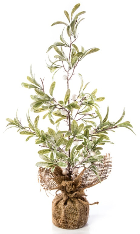 Premier Natural Mistletoe Tree In Jute Pot