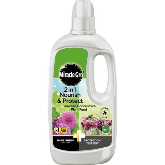 Miracle-Gro® nutre y protege el alimento vegetal de algas marinas