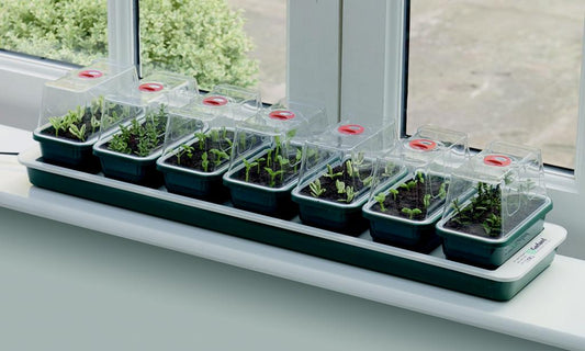 Garland Super 7 Electric Windowsill Propagator