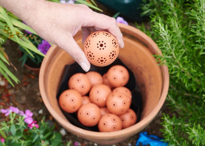 Clever Pots Reservoir Hydroballs