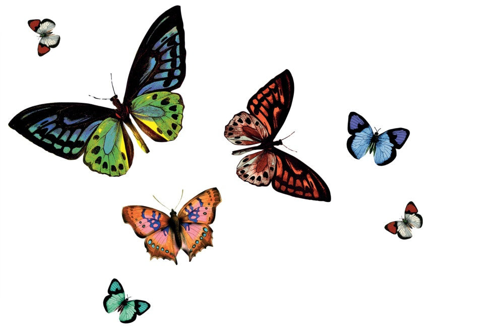 d-c-fix® Rio Placemat - Butterfly Transparent