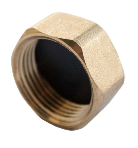 Securplumb Compression Blanking Nut