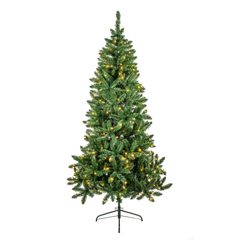 Premier Prelit Douglas Fir  240 Tips