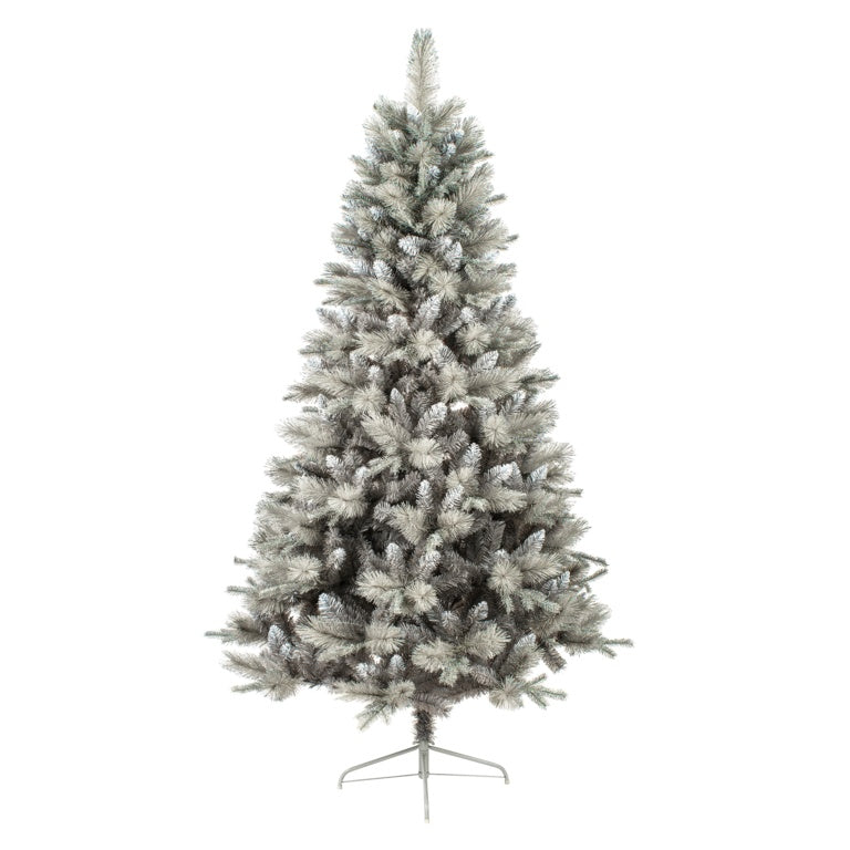 Premier Deluxe Silver Tipped Fir