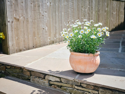 Pot-Mate Discreet Plant Pot Feet