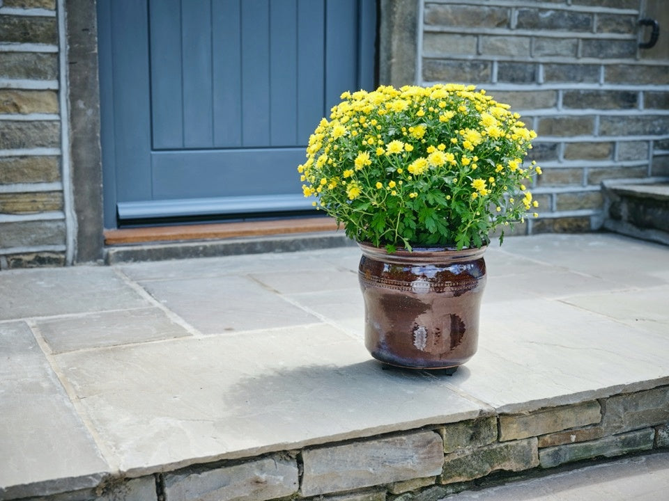 Pot-Mate Discreet Plant Pot Feet