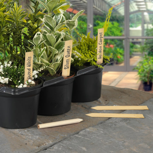Étiquettes et crayons pour plantes en bambou Ambassador, 10 pièces