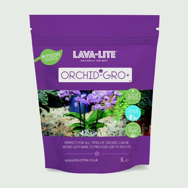 Orchidée LAVA-LITE - Gro+