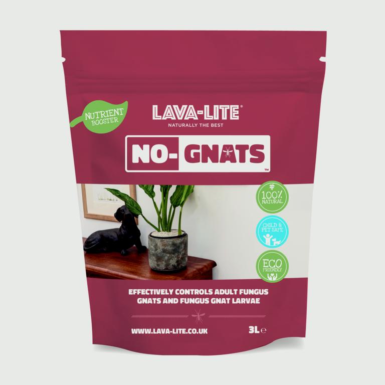 LAVA-LITE No Gnats Fungus Control