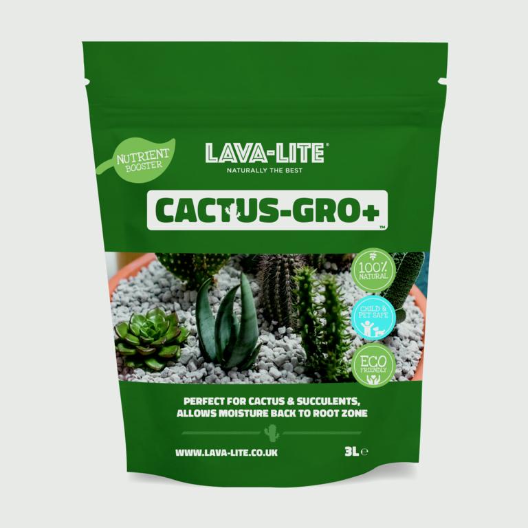 LAVA-LITE Cactus - Gro+