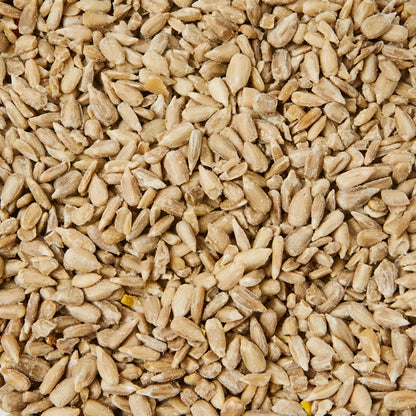 Ambassador Sunflower Hearts