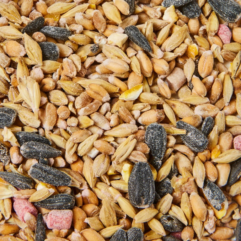 Ambassador Wild Bird Seed