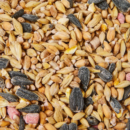 Ambassador Wild Bird Seed