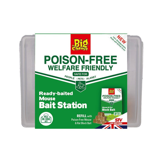 The Big Cheese Poison Free Ready Baited Mouse Station