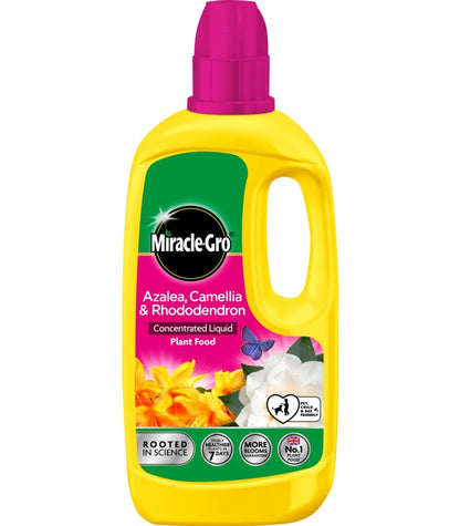 Miracle-Gro® Ericaceous Liquid Plant Food