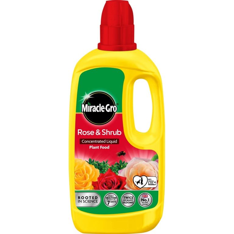 Engrais concentré pour plantes Miracle-Gro® pour roses et arbustes