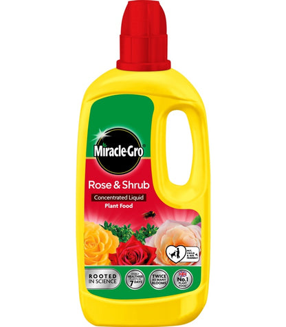 Miracle-Gro® Rose & Shrub Concentrated Plant Food