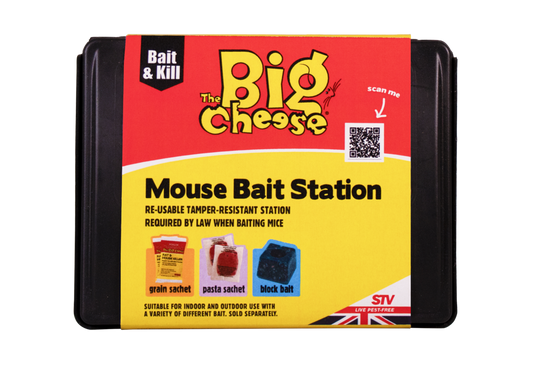 The Big Cheese Mouse Bait Station