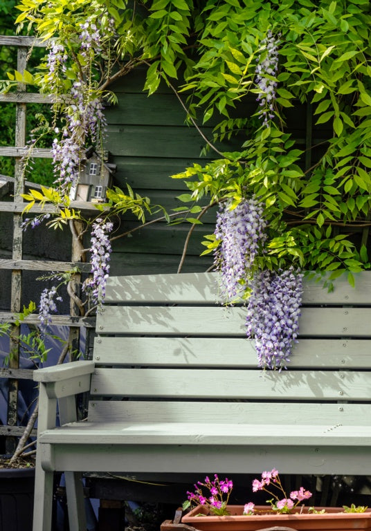 Ronseal Garden Paint 2.5L