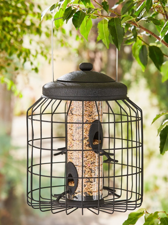 Ambassador Heavy Duty Black Squirrel Proof Seed Feeder