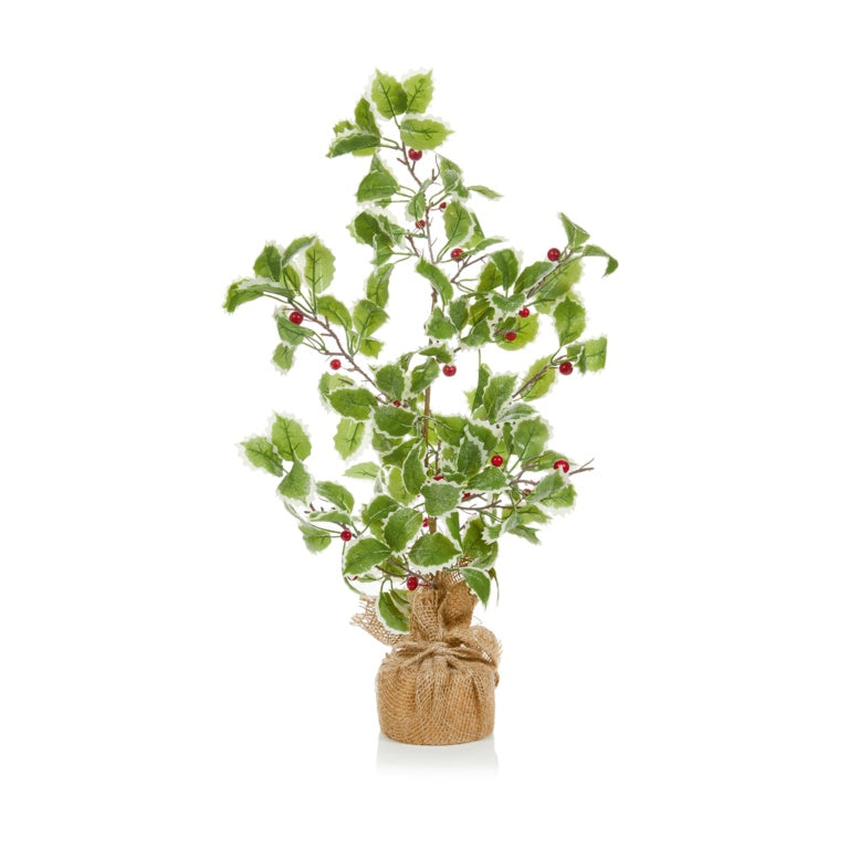 Premier Frosted Holly Berry In Jute Pot