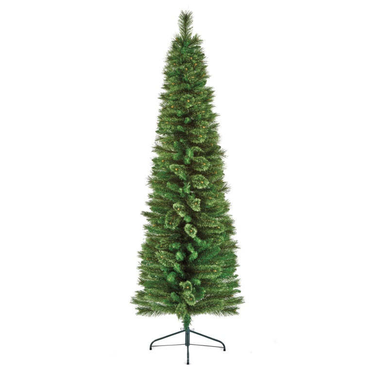 Premier Needle Spruce Pencil Tree